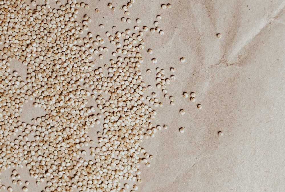 Polpette di quinoa e verdure